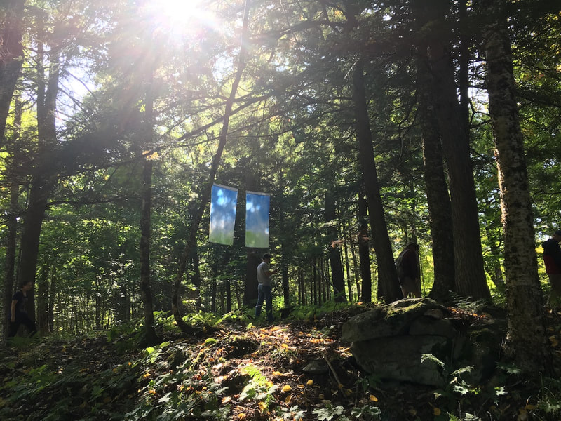 Banners in the Forest